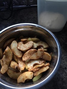 Tossed with sugar & spices