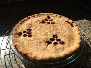 Concord Grape Pie