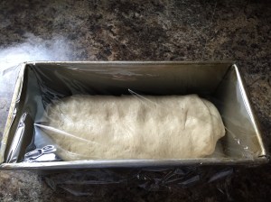 Shaped and ready for proofing