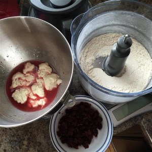 Biga, flour/walnut mixture, cranberries